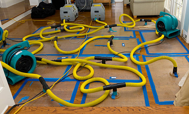 Professional Crawl Space Water Removal technician working in Elizabethport, NJ